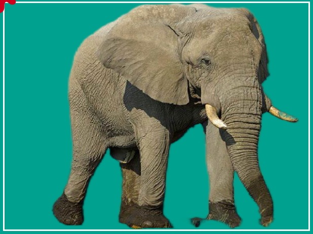 1661520205140320.png 1661520205140320.png