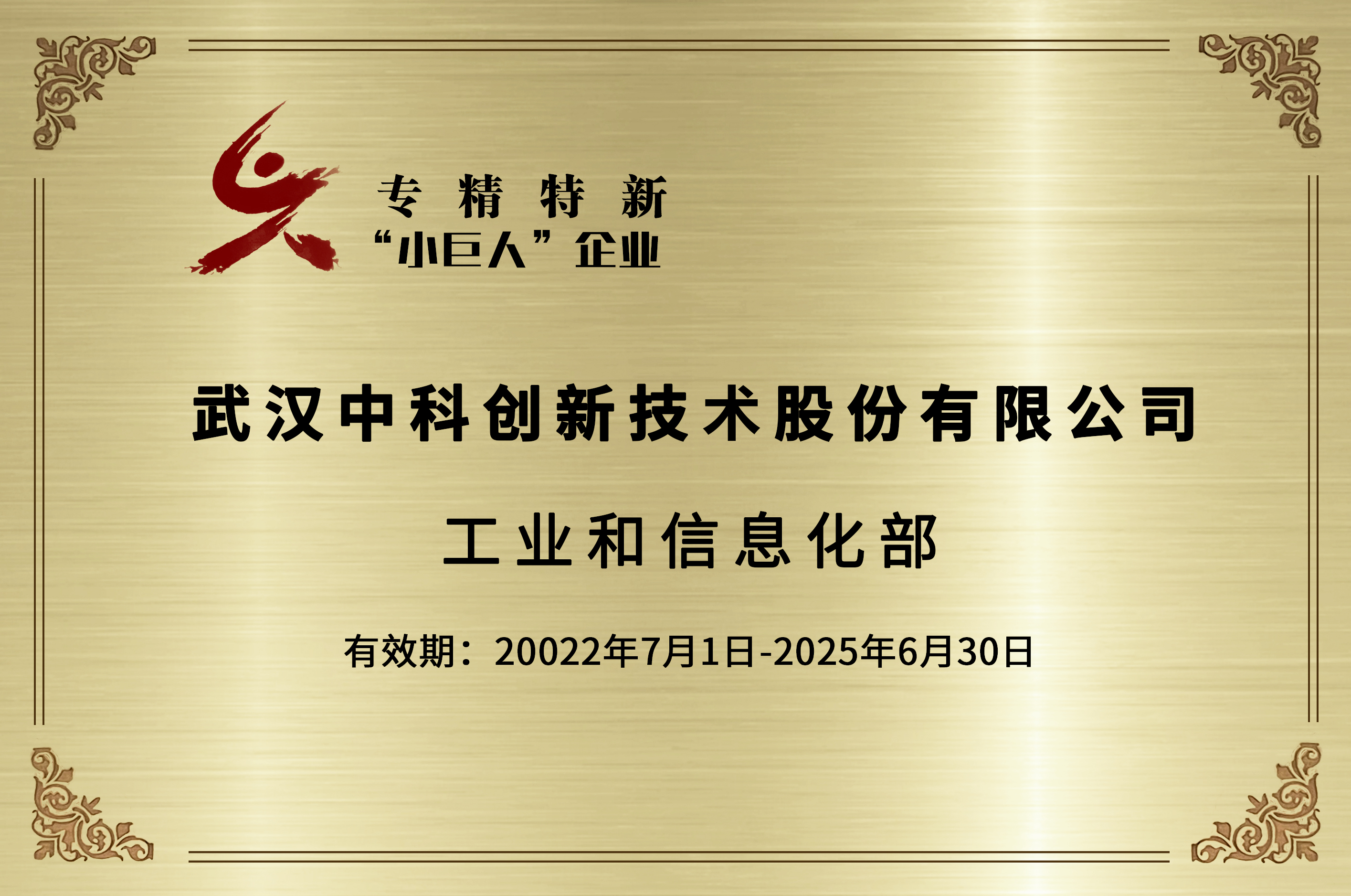 国家“专精特新”小巨人企业